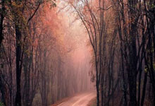 [NBA]亚历山大36+9 雷霆战胜.