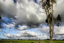 开云官网体育：2023至2024国际滑联速度滑冰世界杯北京站比赛将在“冰丝带”开赛央视新闻客户端.