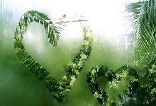 63岁李春丽获中国澳门世界杯参赛名额，雅典奥运会曾与张怡宁交手.