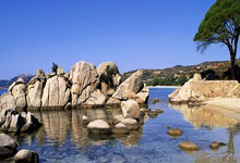 开云官网体育：5外援+塞鸟难取胜！最强国安，还在路上.